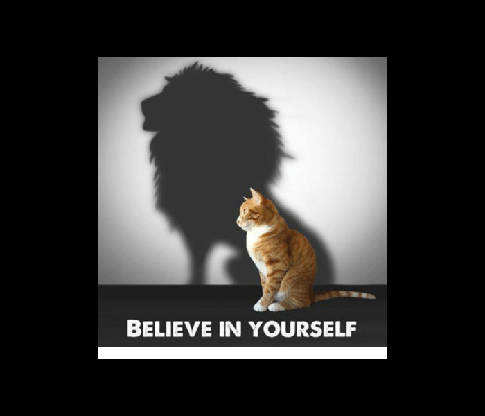 BELIEVE IN YOURSELF | Afton is here for you every step of the way!